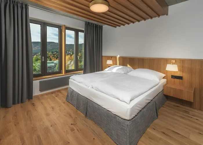 Palace 4* Špindlerŭv Mlýn